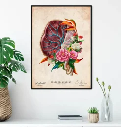 Codex Anatomicus Obstetrics & Gynecology^Placenta anatomy - Floral - Vintage