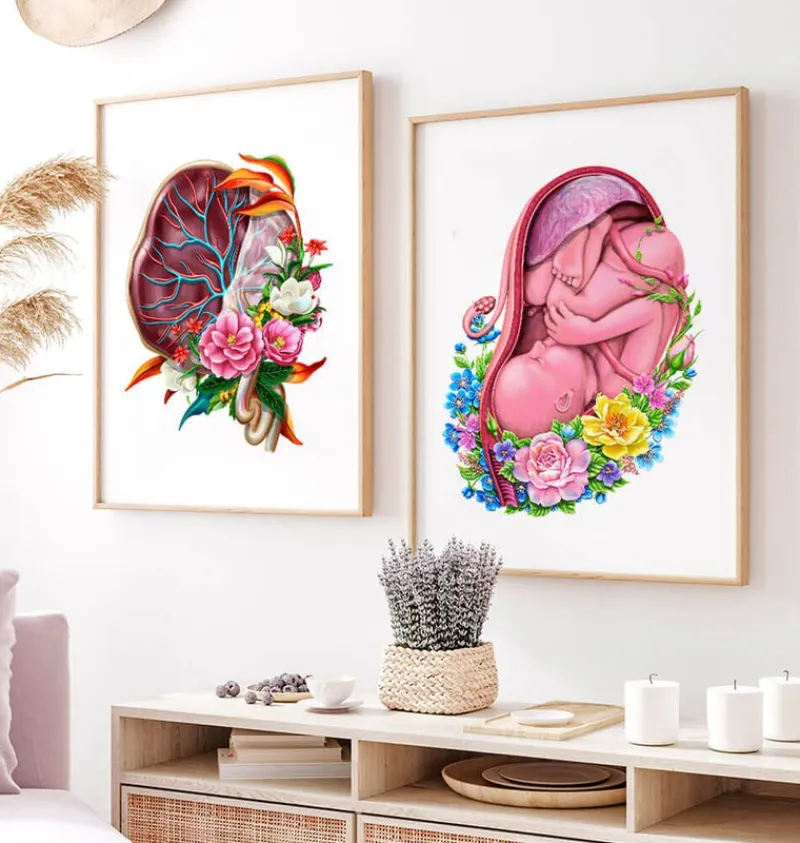 Codex Anatomicus Obstetrics & Gynecology^Placenta anatomy - Floral - White