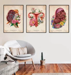 Codex Anatomicus Obstetrics & Gynecology^Placenta anatomy - Floral - Vintage