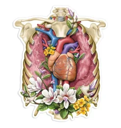 Codex Anatomicus Stickers^Rib cage & heart anatomy sticker - Floral