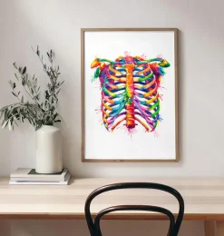 Codex Anatomicus Skull & Skeleton^Rib cage - Watercolor splash