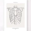 Codex Anatomicus Skull & Skeleton^Rib cage anatomy - Line Art