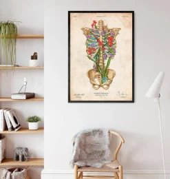Codex Anatomicus Skull & Skeleton^Rib cage anatomy II - Floral - Vintage