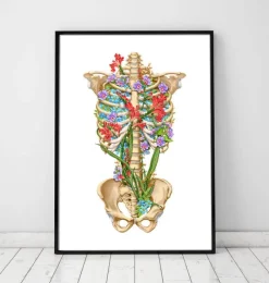 Codex Anatomicus Skull & Skeleton^Rib cage anatomy II - Floral - White