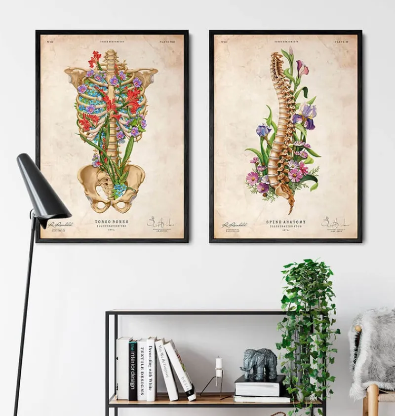 Codex Anatomicus Skull & Skeleton^Rib cage anatomy II - Floral - Vintage