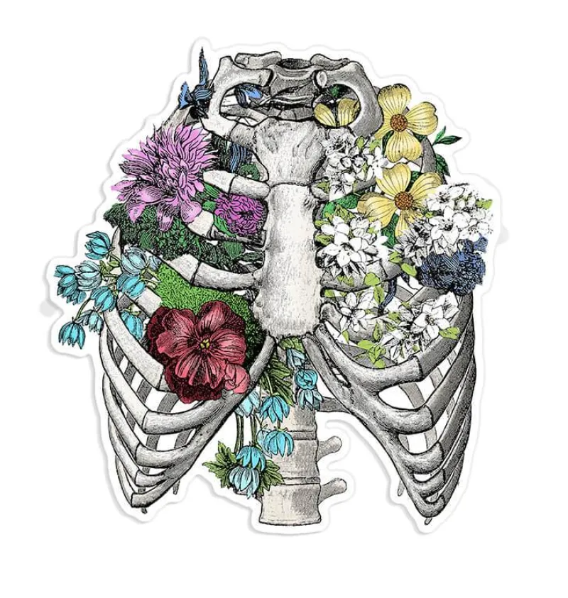 Codex Anatomicus Stickers^Rib cage anatomy sticker III - Floral