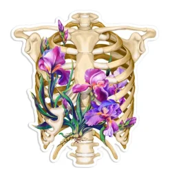 Codex Anatomicus Stickers^Rib cage anatomy sticker - Floral