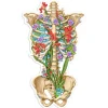 Codex Anatomicus Stickers^Rib cage anatomy sticker II - Floral