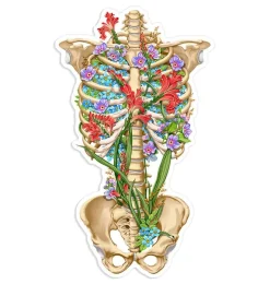Codex Anatomicus Stickers^Rib cage anatomy sticker II - Floral