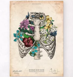 Codex Anatomicus Skull & Skeleton^Rib cage II - Floral - Vintage