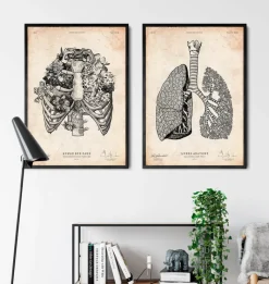 Codex Anatomicus Skull & Skeleton^Rib cage print