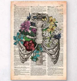 Codex Anatomicus Skull & Skeleton^Rib cage with flowers - Old dictionary page