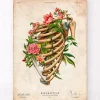 Codex Anatomicus Skull & Skeleton^Rib fracture - Floral - Vintage