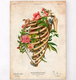 Codex Anatomicus Skull & Skeleton^Rib fracture - Floral - Vintage