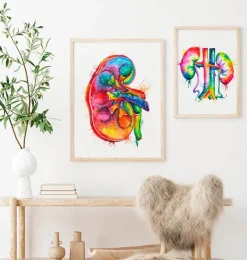 Codex Anatomicus Kidney & Liver^Right kidney anatomy - Watercolor splash