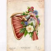 Codex Anatomicus Skull & Skeleton^Rotator cuff tear - Floral - Vintage