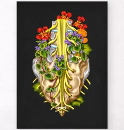Codex Anatomicus Skull & Skeleton^Sacral nerves - Floral - Black