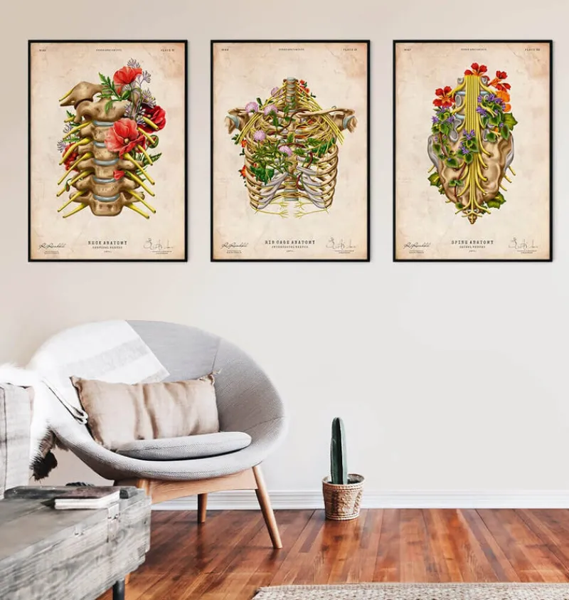 Codex Anatomicus Skull & Skeleton^Sacral nerves - Floral - Vintage