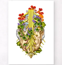 Codex Anatomicus Skull & Skeleton^Sacral nerves - Floral - White