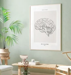 Codex Anatomicus Brain Anatomy^Sagittal Brain - Line Art
