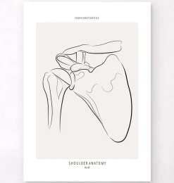 Codex Anatomicus Skull & Skeleton^Shoulder anatomy - Line Art