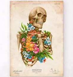 Codex Anatomicus Skull & Skeleton^Skeleton anatomy - Floral - Vintage