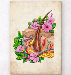 Codex Anatomicus Various Organs^Skin anatomy - Floral - Vintage