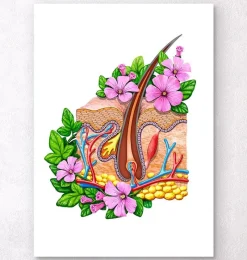 Codex Anatomicus Various Organs^Skin anatomy - Floral - White