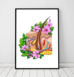 Codex Anatomicus Various Organs^Skin anatomy - Floral - White
