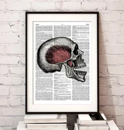 Codex Anatomicus Skull & Skeleton^Skull anatomy - Dictionary page