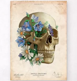 Codex Anatomicus Skull & Skeleton^Skull anatomy - Floral - Vintage