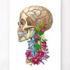 Codex Anatomicus Skull & Skeleton^Skull anatomy II - Floral - White