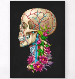 Codex Anatomicus Skull & Skeleton^Skull anatomy II - Floral - Black