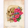 Codex Anatomicus Skull & Skeleton^Skull anatomy III - Floral - Vintage