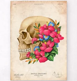 Codex Anatomicus Skull & Skeleton^Skull anatomy III - Floral - Vintage