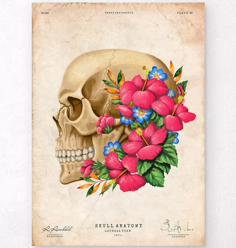 Codex Anatomicus Skull & Skeleton^Skull anatomy III - Floral - Vintage