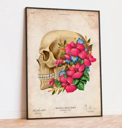 Codex Anatomicus Skull & Skeleton^Skull anatomy III - Floral - Vintage