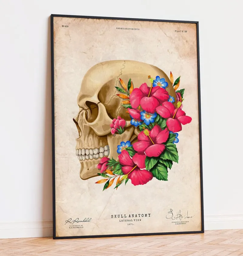 Codex Anatomicus Skull & Skeleton^Skull anatomy III - Floral - Vintage