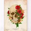 Codex Anatomicus Skull & Skeleton^Skull anatomy IV - Floral - Vintage