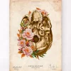 Codex Anatomicus Skull & Skeleton^Skull anatomy V - Floral - Vintage