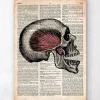 Codex Anatomicus Skull & Skeleton^Skull art print - Old dictionary page