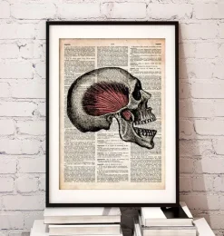 Codex Anatomicus Skull & Skeleton^Skull art print - Old dictionary page