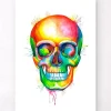 Codex Anatomicus Skull & Skeleton^Skull II - Watercolor splash