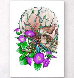 Codex Anatomicus Skull & Skeleton^Skull with flowers