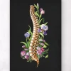 Codex Anatomicus Skull & Skeleton^Spine anatomy - Floral - Black