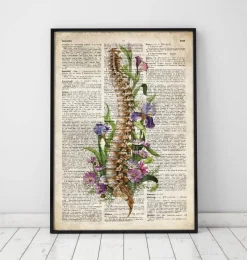 Codex Anatomicus Skull & Skeleton^Spine anatomy - Floral - Old dictionary