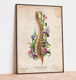 Codex Anatomicus Skull & Skeleton^Spine anatomy - Floral - Vintage