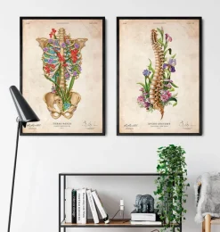 Codex Anatomicus Skull & Skeleton^Spine anatomy - Floral - Vintage