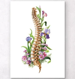 Codex Anatomicus Skull & Skeleton^Spine anatomy - Floral - White