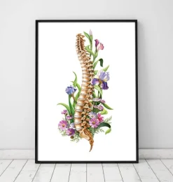 Codex Anatomicus Skull & Skeleton^Spine anatomy - Floral - White